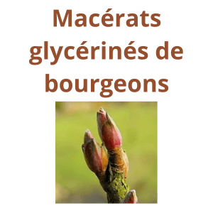 phyto'gem: macérats glycérinés de bourgeon laboratoire phytofrance